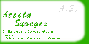 attila suveges business card
